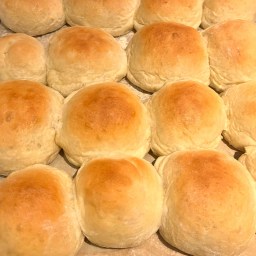 Holiday Yeast Rolls
