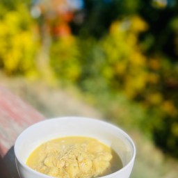 Chicken and Dumplings Northern Version